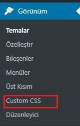 WordPress Custom CSS seçeneği