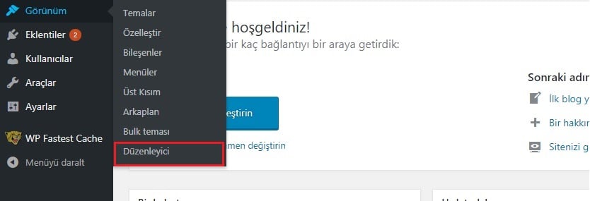 WordPress görünüm/düzenleyici