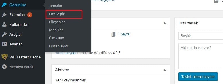 WordPress görünüm özelliştirme ekranı