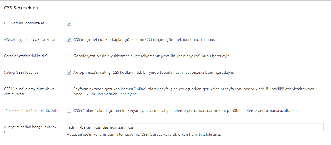 Autoptimize CSS ayarları