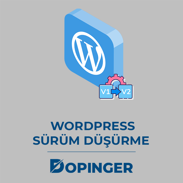 WordPress'i Eski Sürüme Döndürme 