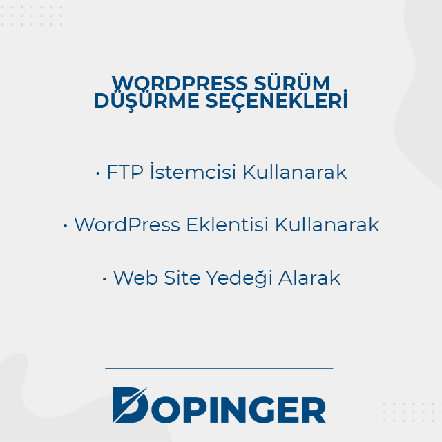 WordPress sürüm düşürme seçenekleri