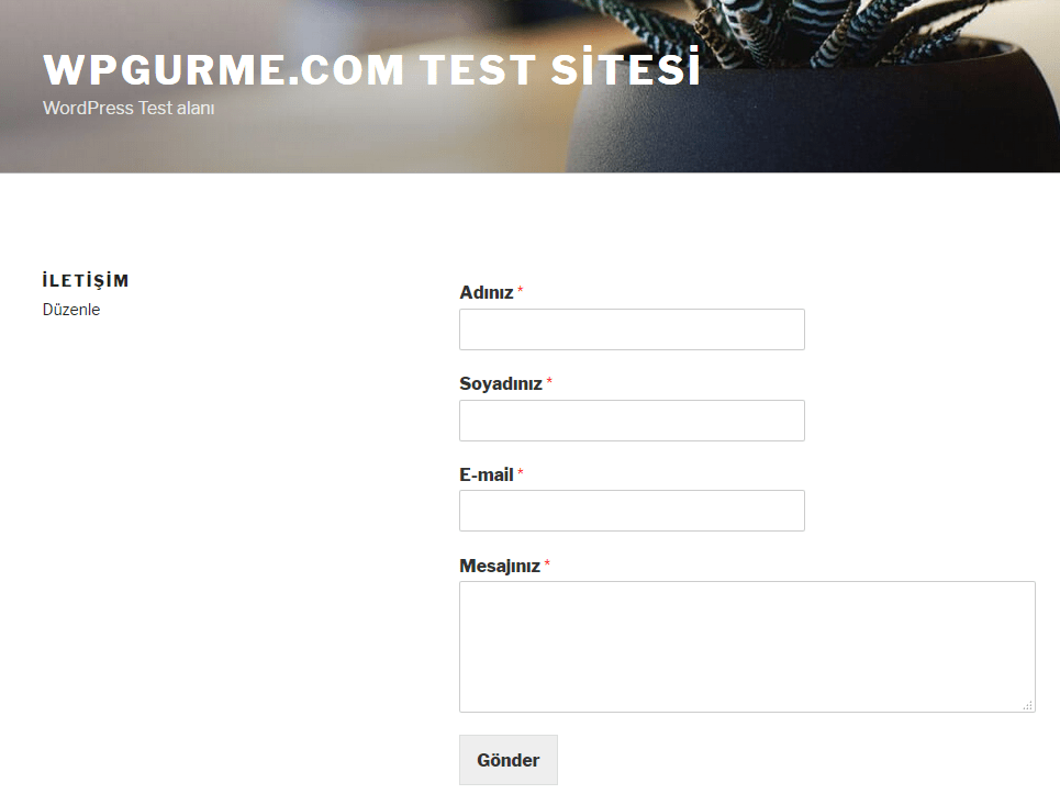 WP forms örnek sayfa
